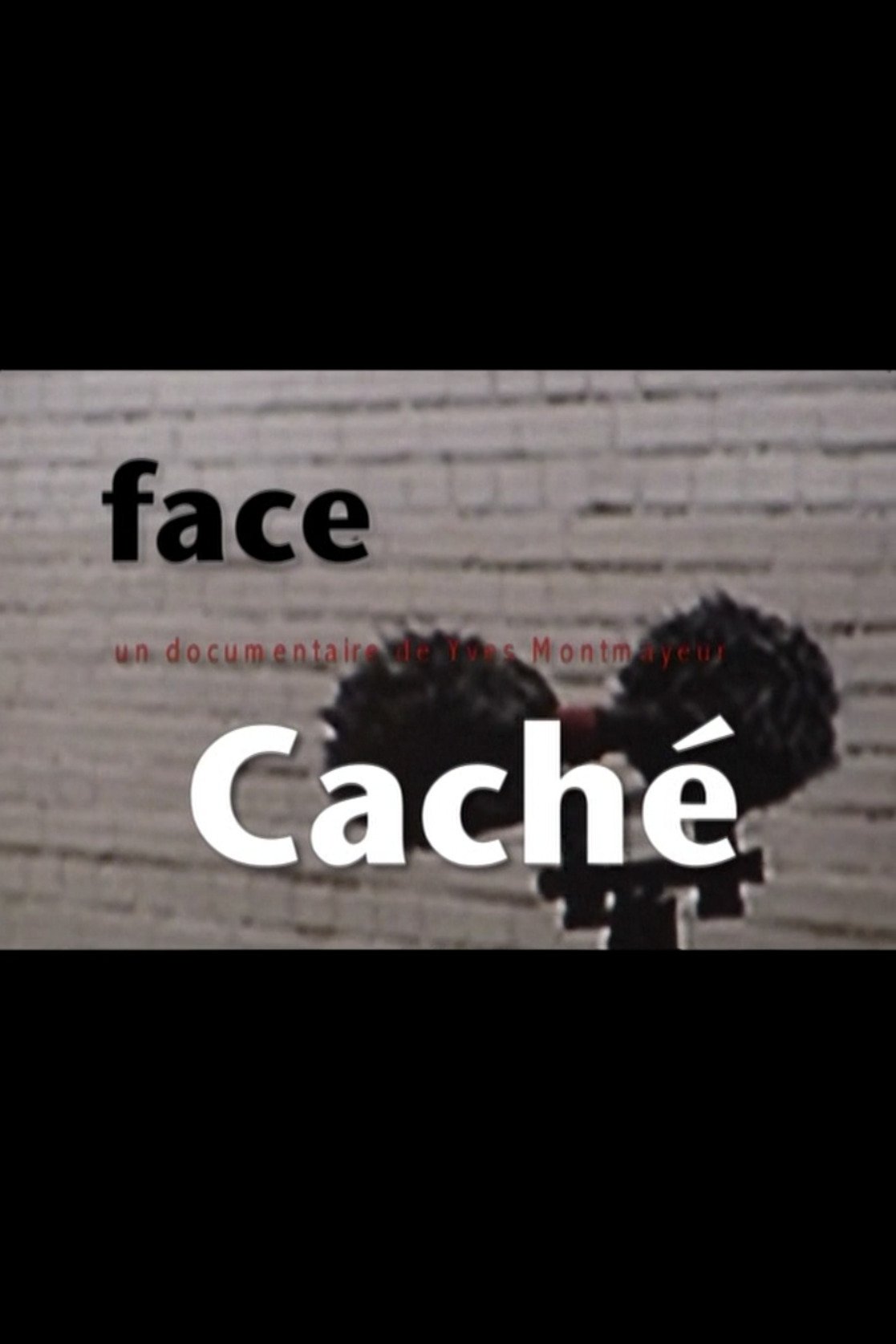 Постер Face 'Caché'